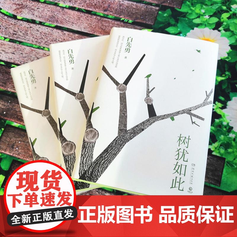 树犹如此精 白先勇著湖南文艺散文随笔选集中国现当代随笔以血泪与至诚写就的生命之歌高清大图