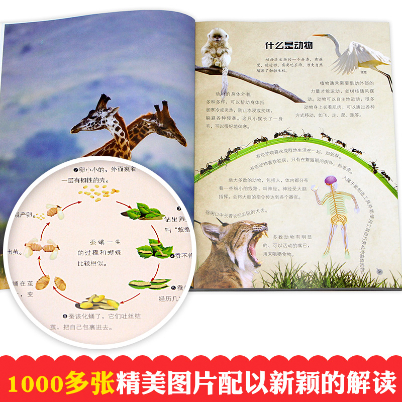[醉染正版]正版 暴读百科全书儿童趣味科普读物全3册 好多好多的动物 好怪好怪的昆虫 好大好大的宇宙 科普类书籍小学生课高清大图