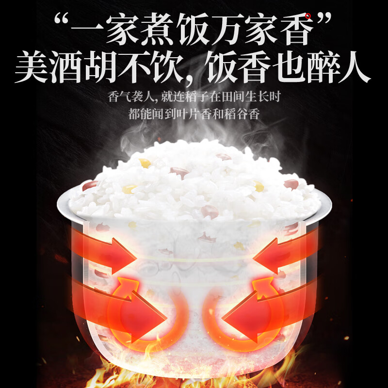 金福乔府大院 特产高品质 长粒香5kg/袋高清大图