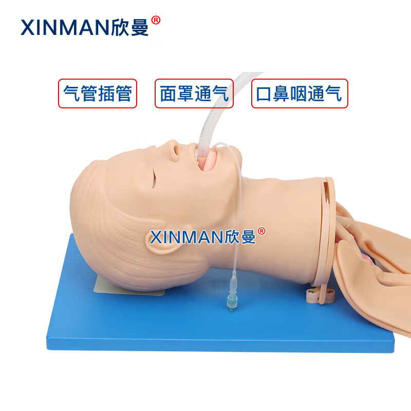 欣曼科教 高级全功能气道管理模型 高级气道管理模拟人XM-QD11高清大图