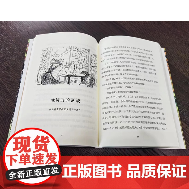 雅比的深秋 魔法象·故事森林 外国儿童文学 青少年成长励志读物童话故事书充满想象力的小说三四五六年级小学生课外阅读书籍正高清大图