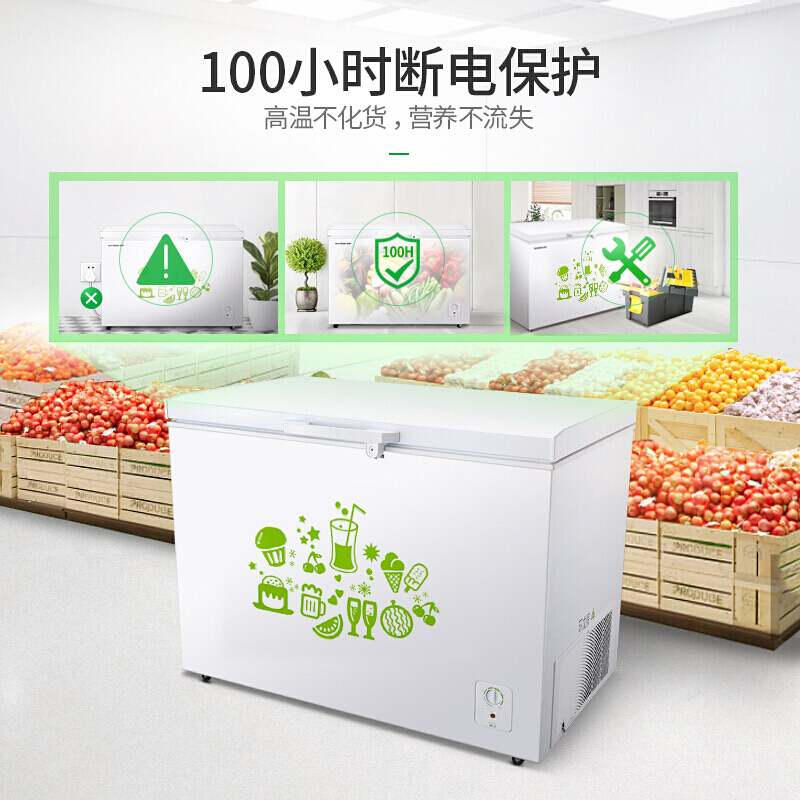 容声 BD/BC-309MD 309升大容量单温冰箱冷柜 一级商用冷藏冷冻冰柜 1130*767*852