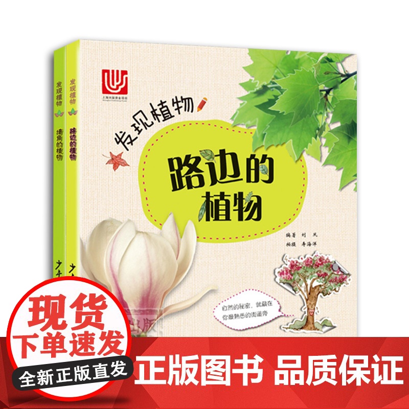 发现植物套装2册 路边的植物 墙角的植物 植物百科 科普读物 自然 科普百科启蒙 少年儿童出版社高清大图