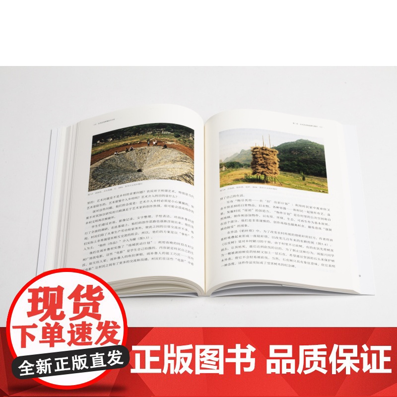 公共艺术的观念与方法 孙振华著 文化艺术 上海书画出版社高清大图