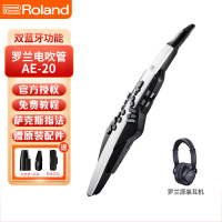 Roland罗兰AE20电吹管电子萨克斯吹管成人老年人电子管吹奏乐器 AE-20【便携包+原装耳机】