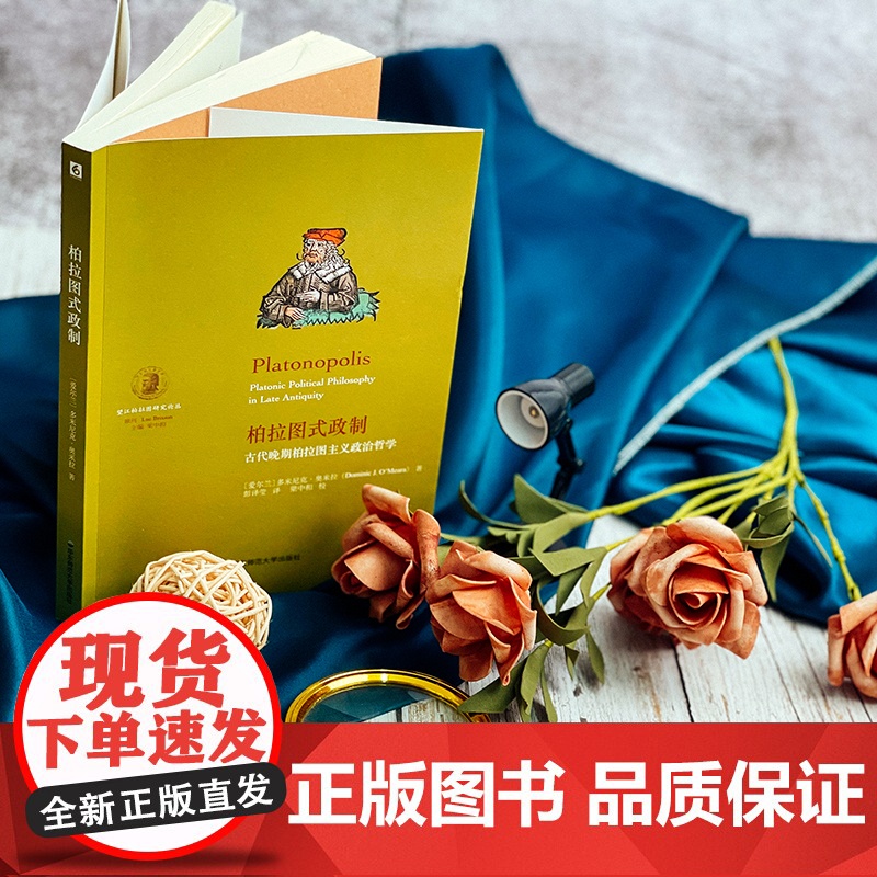 柏拉图式政制 古代晚期柏拉图主义政治哲学 望江柏拉图研究论丛 重构新柏拉图主义政治哲学奠基之作 正版 华东师范大学出版社高清大图