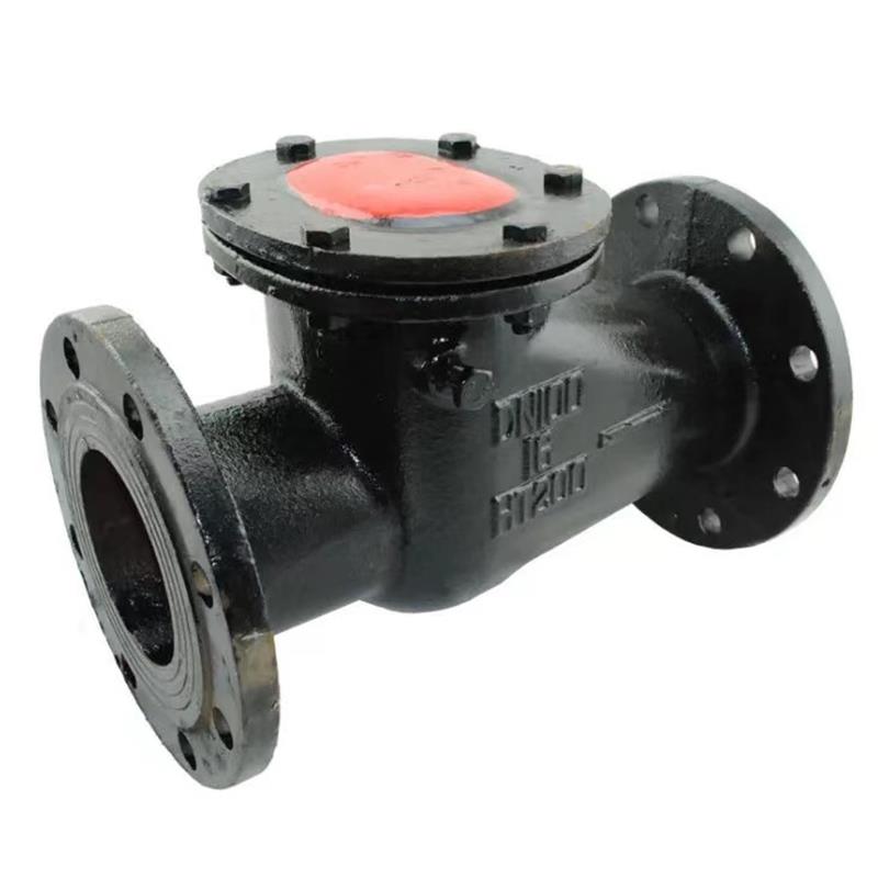 伟鹏双兴 铸铁法兰旋启式止回阀 DN80 台高清大图