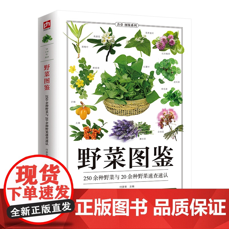 野菜图鉴 全新图解版高清大图