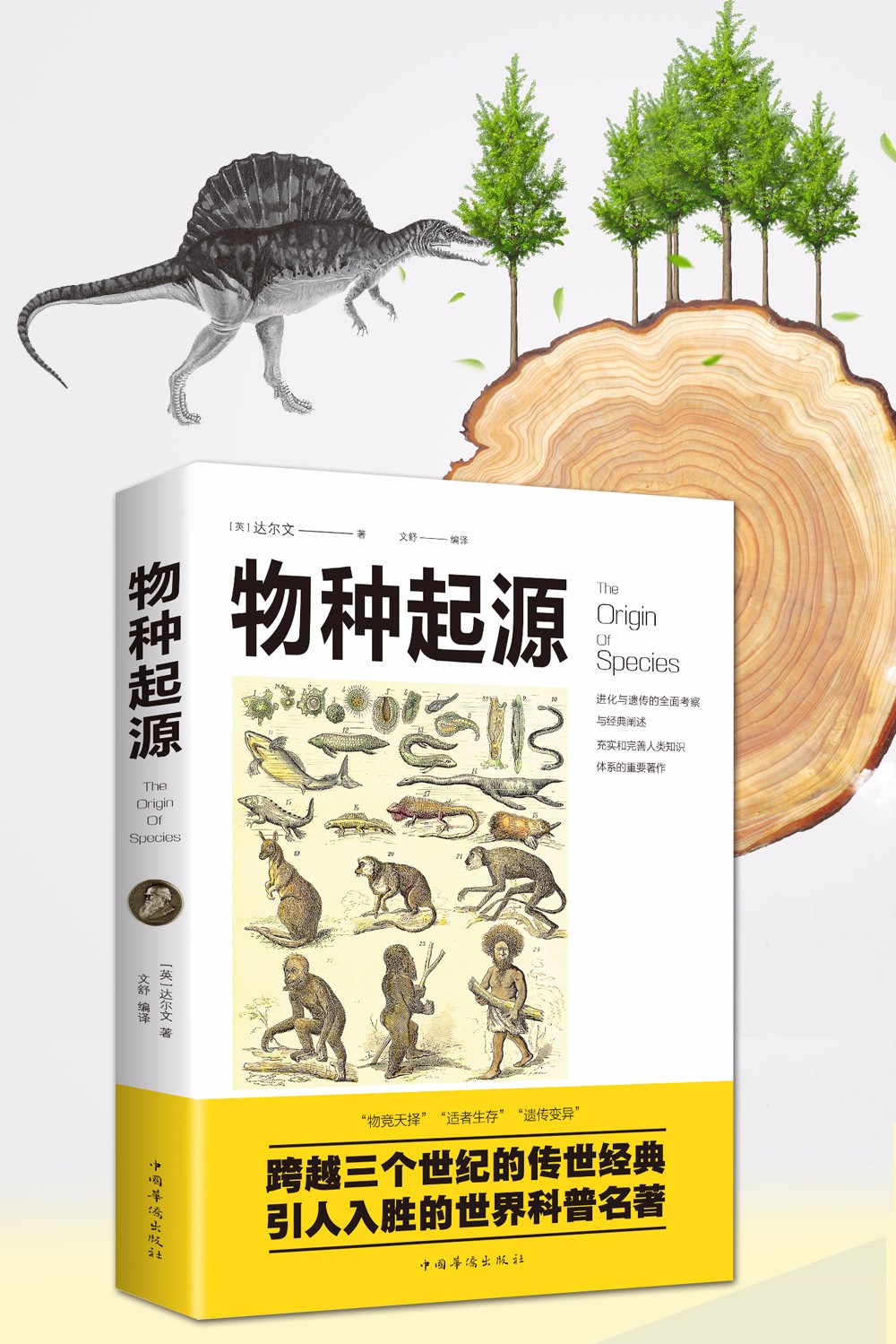 [正版]物种起源 达尔文 进化论生物信息学图解科学 了解生命是什么 自然史动植物生物学 自然科学生命生物科学科普课外高清大图