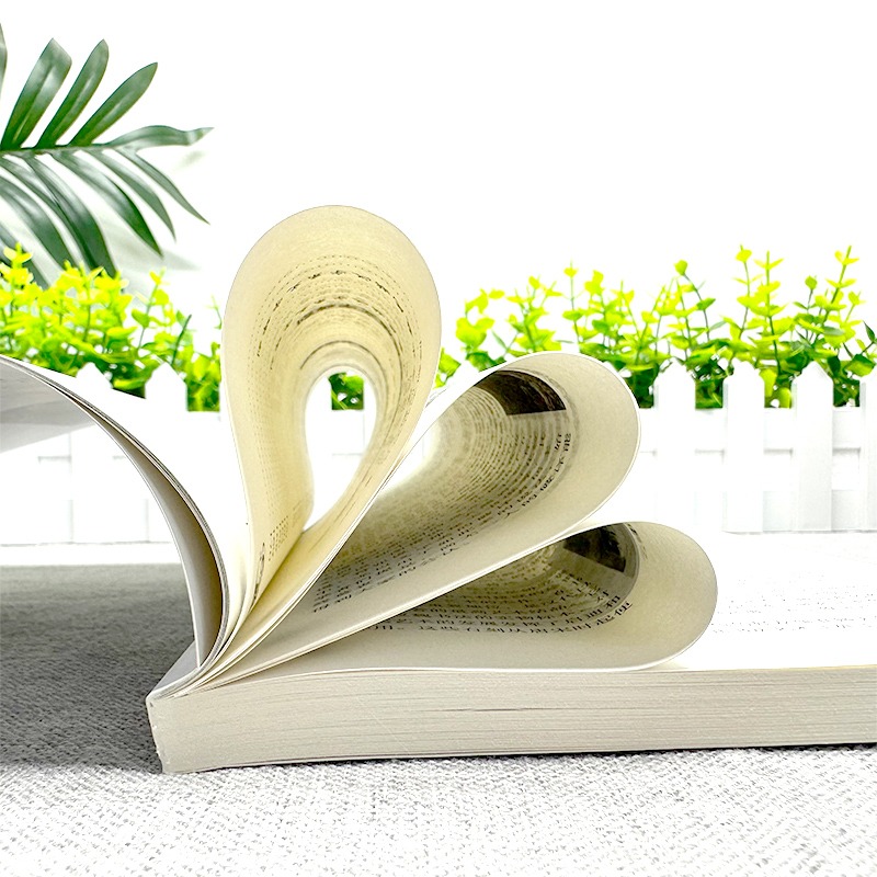 [正版]中国古代碑刻 碑刻的形式分类 内容分类 制作整理研究与应用著名书法碑刻少数民族文字碑刻等 中国传统民俗文化艺术高清大图