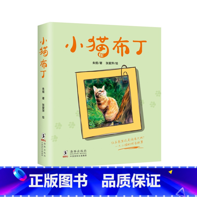 小猫布丁 【正版】小猫布丁 —随书附赠6张小猫布丁精美明信片 一只流浪小猫的成长史 二三年级小学生阅读课外书老师 阅读