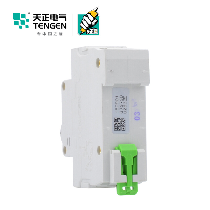 天正电气瑞彩系列TGBH-125 空气开关 6KA 1P C 125A 335013800240 微型断路器