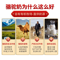 新疆纯骆驼奶粉全脂驼乳粉独立包装纯驼奶粉+益生菌配方驼乳粉+2盒装过节送礼佳品正品送爸妈长辈中老年老人营养品无糖精无蔗糖