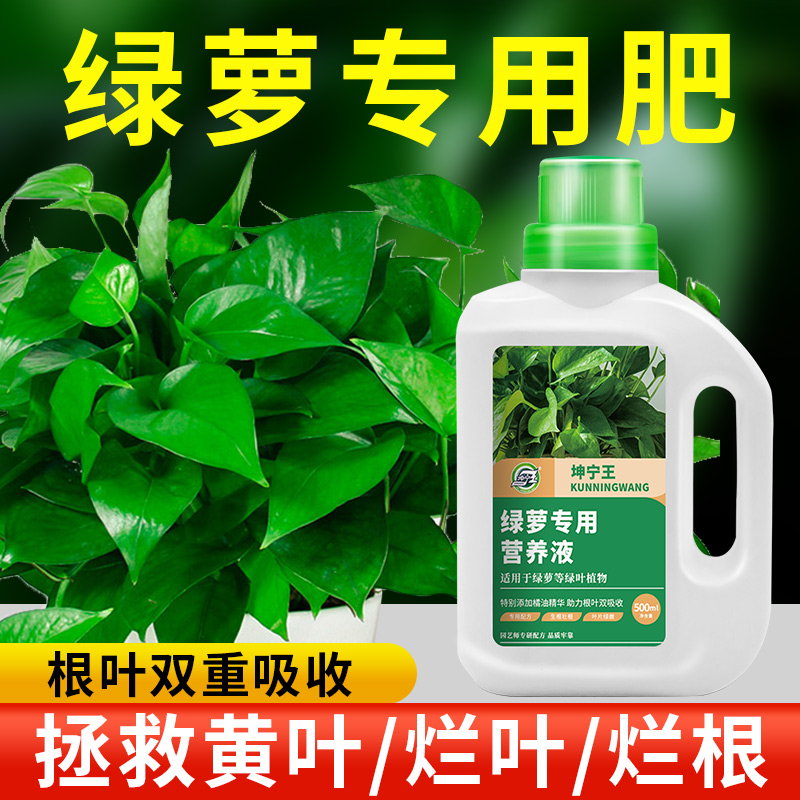 绿萝营养液肥料专用肥植物盆栽绿箩营业液花肥料家用土水培养花肥高清大图