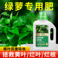 绿萝营养液肥料专用肥植物盆栽绿箩营业液花肥料家用土水培养花肥