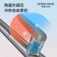 SEREN HOME赛恩卫浴厨房水龙头洗菜盆洗菜池水槽龙头冷热水隐藏抽拉式