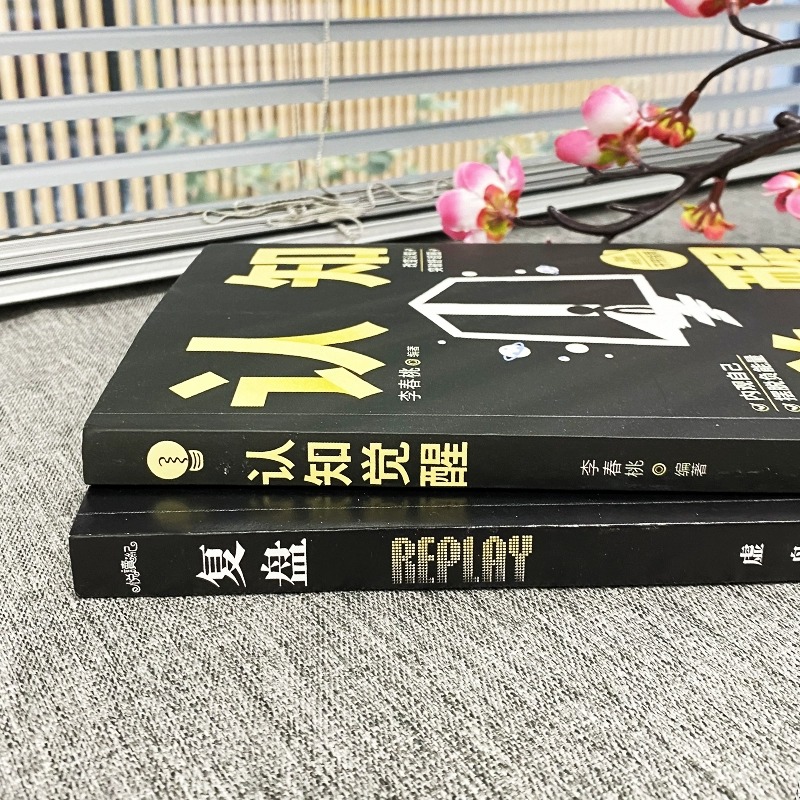 [全10册]打破认知局限 重塑自我人生 [正版]复盘+认知觉醒全2册 励志书籍 解决人生问题的自我引导法则提高工作效率高高清大图