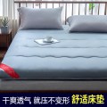 【南极人】床垫软垫家用榻榻米垫子宿舍单人学生垫被垫褥垫子加厚褥子 90x200cm【不易坍塌，干爽透气款】 亲肤舒适床垫【深灰】软硬适中