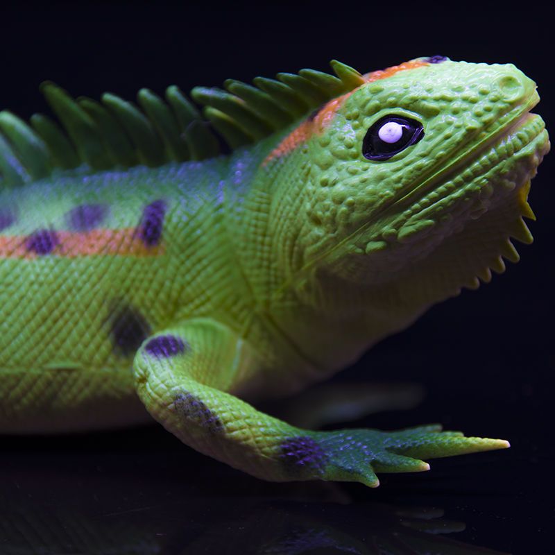 仿真蜥蜴玩具动物模型变色龙壁虎软胶儿童捏捏叫发声塑胶动物玩具