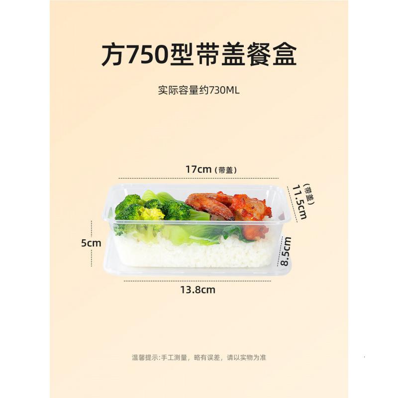 特美居(temeiju)一次性饭盒长方形透明塑料快餐盒加厚带盖打包盒餐具300套装750型高清大图
