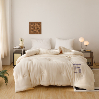 2022新款冬被A类华夫格益生菌系列大豆被