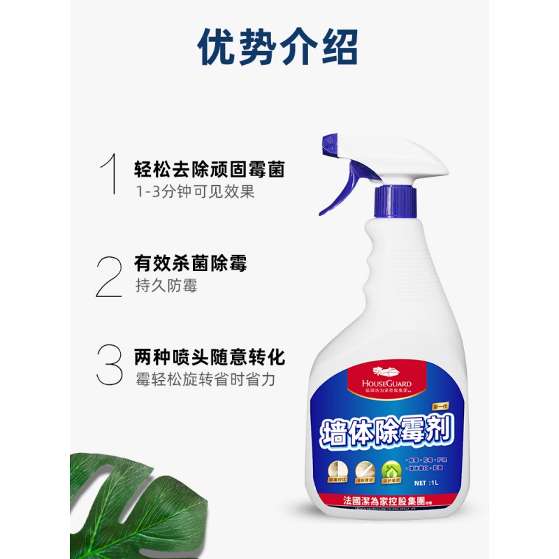 除霉剂墙体墙面壁纸防霉除霉菌啫喱家用厨房去霉斑霉菌清洁剂高清大图