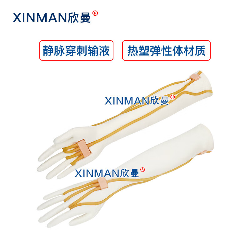 欣曼科教 静脉输液手臂模型 静脉注射手臂模型XM-S1009高清大图
