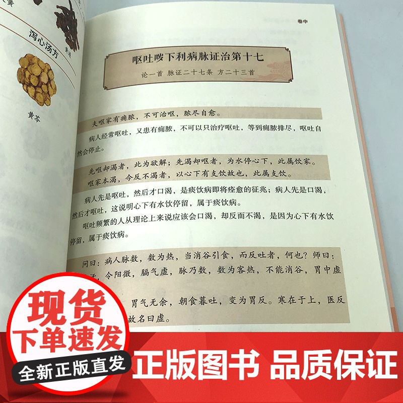 伤寒论张仲景正版金匮要略原版讲义图解全注全译中医临床必读伤寒杂病论中医基础理论书籍中医四大经典名著自学入门古籍医学倪海厦高清大图