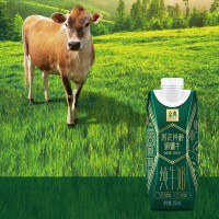 伊利 金典娟姗纯牛奶 250ml*10盒