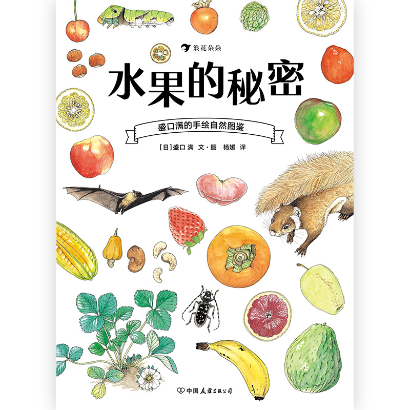 [正版] 水果的秘密 盛口满的手绘自然图鉴 日本童书研究会儿童插图科普百科绘本书籍
