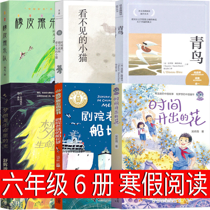 时间熊,镜子虎和看不见的小猫 [正版]梦想是生命里的光 六年级课外书舒辉波著二十一世纪出版社小学生必读的下册老师23年百