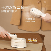 志高(CHIGO)手持挂烫机家用宿舍小型便携电熨斗熨烫熨衣服熨烫机_升级款钛金面板干湿双烫