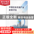 中国信息资源产业政策评估