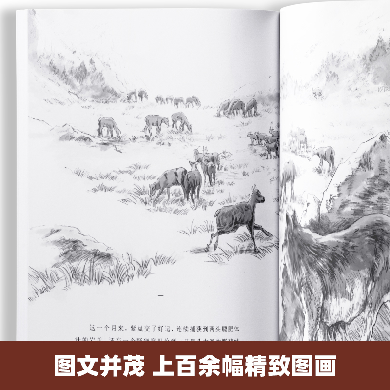 [全套13册] 狼王梦+动物小说 [正版]抖音同款狼王梦沈石溪全套5册 漫画版画本动物小说全集大王三年级四五六年级下册阅