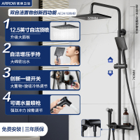 箭牌卫浴(ARROW)卫浴花洒 增压淋浴套装挂墙式不锈钢可旋转升降 精铜主体花洒头 多功能黑色花洒AE3449MB-P1