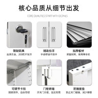 绵冠文件柜拆装办公柜钢制铁皮柜资料柜档案柜储物柜 灰白拆装中二斗文件柜
