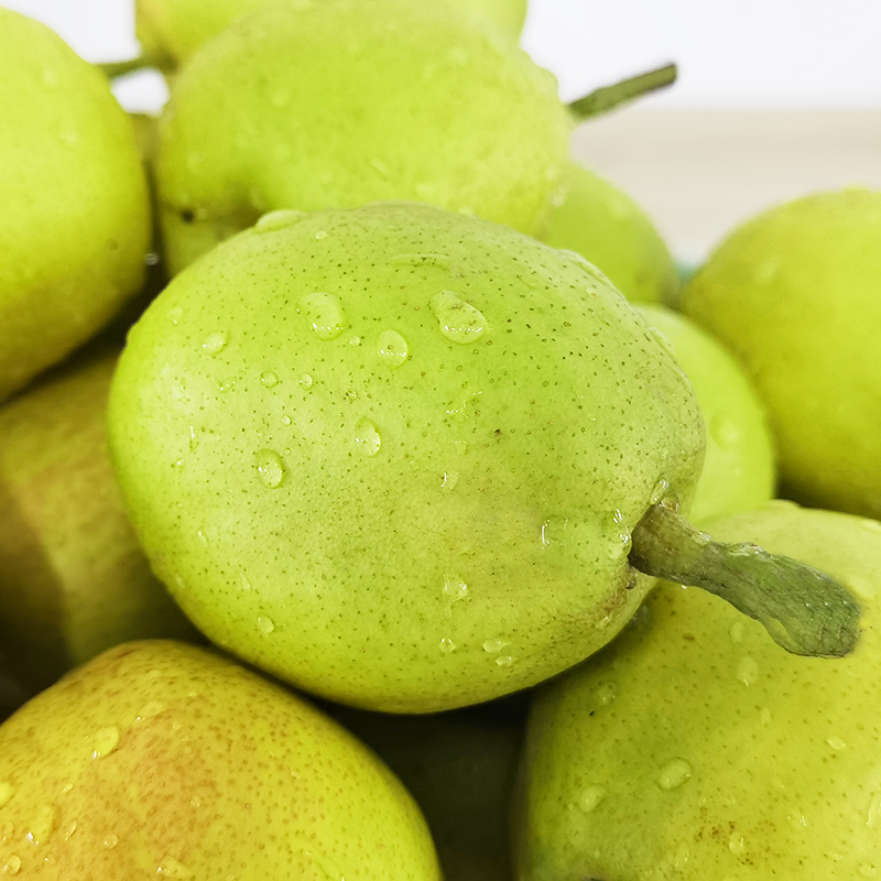 新鲜梨子新疆库尔勒香梨水果 香甜可口带箱5斤装
