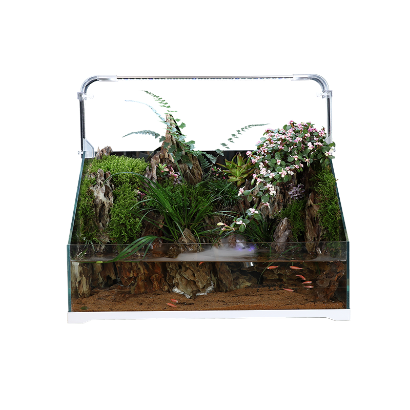 金晶水陆缸水陆鱼缸 植物造景缸 微景观斜口缸 乌龟缸超白缸高清大图