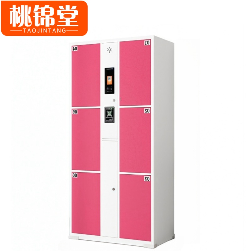 桃锦堂存包柜