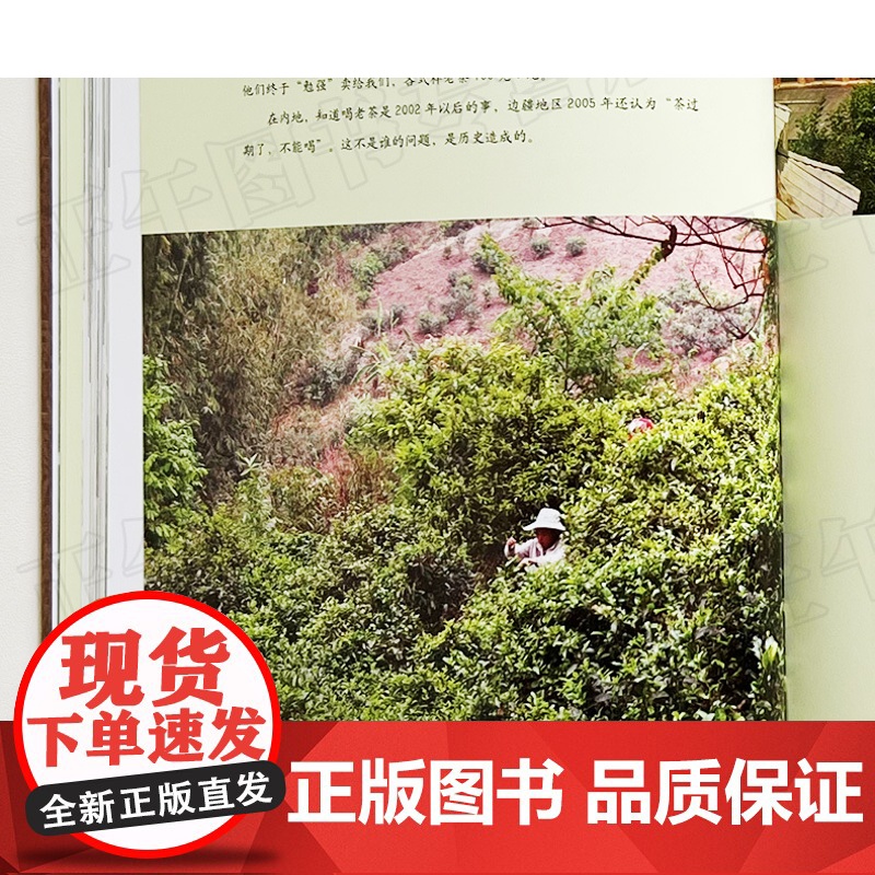午阅正版 茶道经译注 紫晨 著 复旦大学出版社有限公司 迷上普洱 硬壳精装钻石版 9787511734433 中央编译高清大图