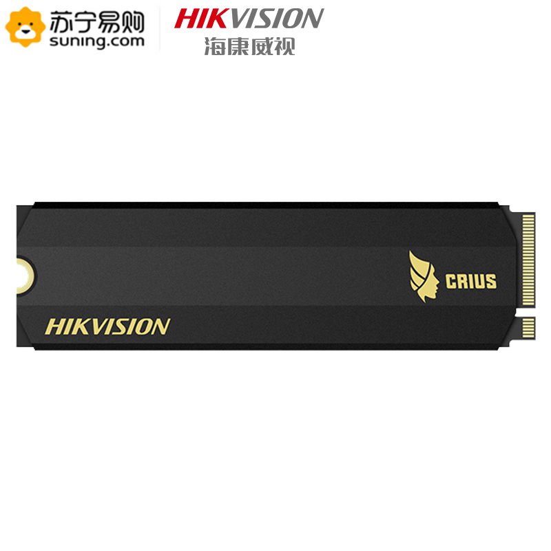 海康威视(HIKVISION)C2000PRO-256G M.2接口(NVMe协议)SSD固态硬盘
