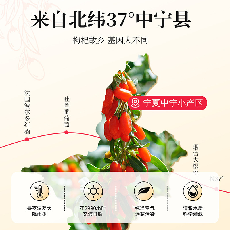 头茬枸杞300g(15罐)礼盒装220粒头茬枸杞 宁夏大颗粒特优级红枸杞青海地道黑枸杞青海特 产苟杞子官方旗舰店