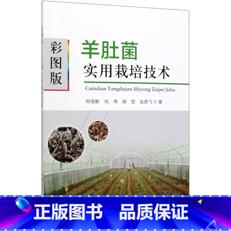 彩图版羊肚菌实用栽培技术 【正版】彩图版羊肚菌实用栽培技术