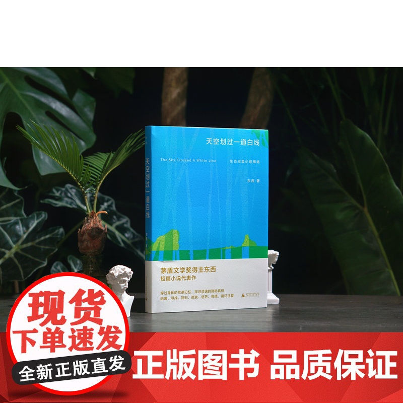 天空划过一道白线: 东西短篇小说精选 东西/著 茅盾文学奖 荒诞 身体 救赎 广西师范大学出版社高清大图