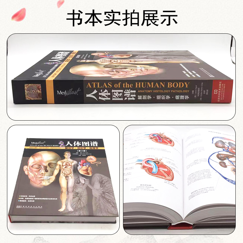 [正版] 人体图谱解剖学组织学病理学第2版 人体解剖彩色图谱 尸体图鉴发育学断层功能解剖书 河南科学技术出版社9787高清大图