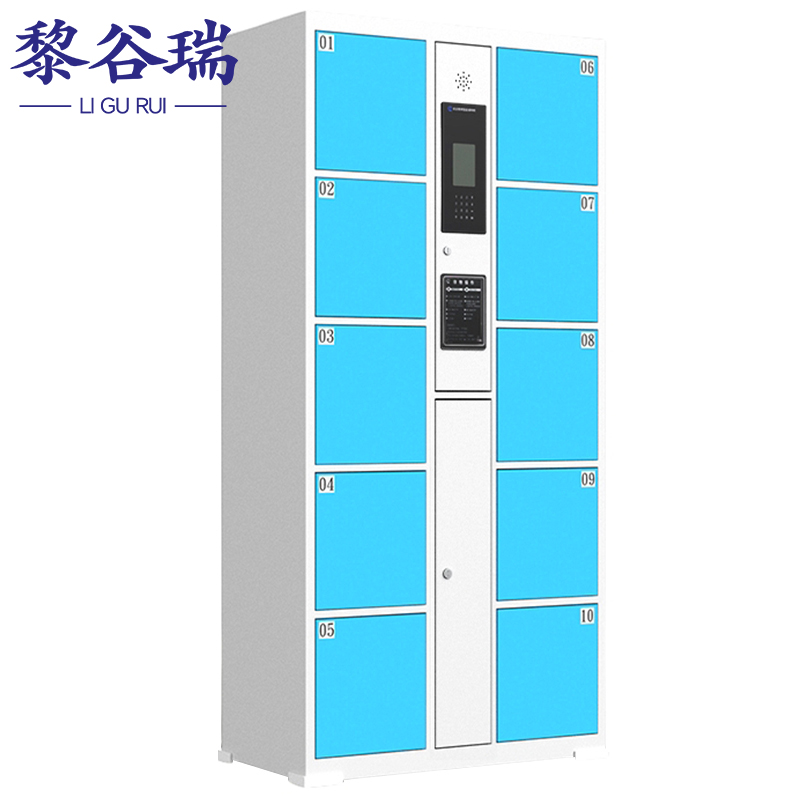黎谷瑞智能寄存柜 智能存放柜10门人脸识别台