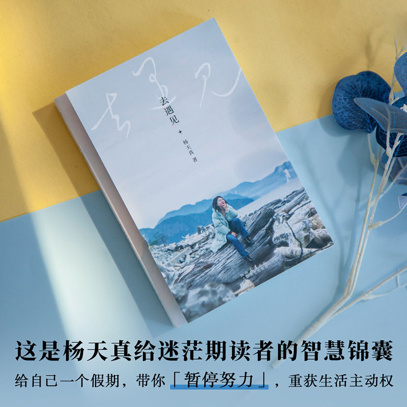全3册 去遇见+把自己当回事儿+通透 [正版]去遇见 杨天真的第一本散文随笔集 把自己当回事儿 通透 对自我内在的梳理高清大图