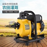 定做 48V60V通用直流无刷变频自吸泵农用滴灌大棚浇水水泵1至3寸 DC-25直流变频自吸泵750W1寸