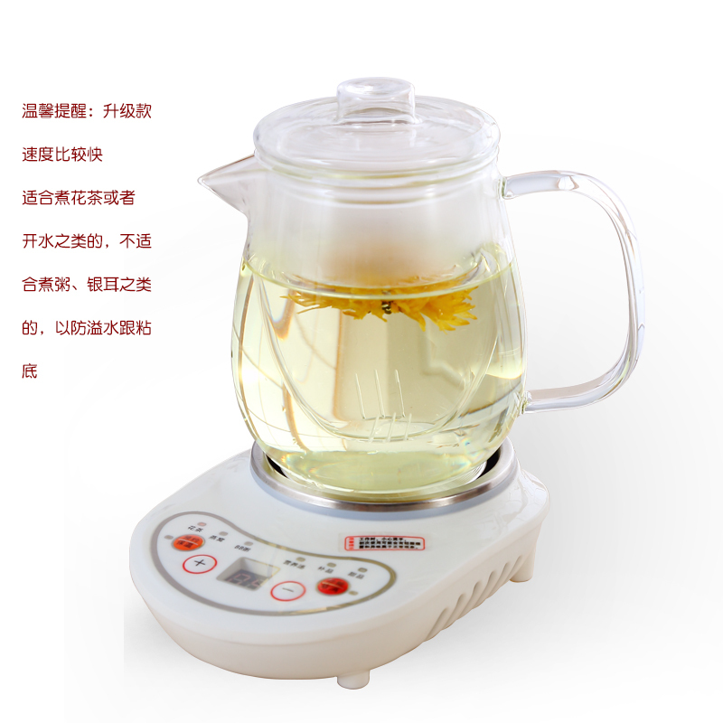 煮茶小型养生壶黄金蛋迷你办公室烧茶炉mini花茶壶电炖杯玻璃烧水壶 升级款(快一倍)360w+大肚杯600ml