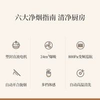 长虹 侧吸式抽油烟机 21m³/min大吸力家用吸油烟机 直流变频自动开合挥手控制 自清洗K02B(S)
